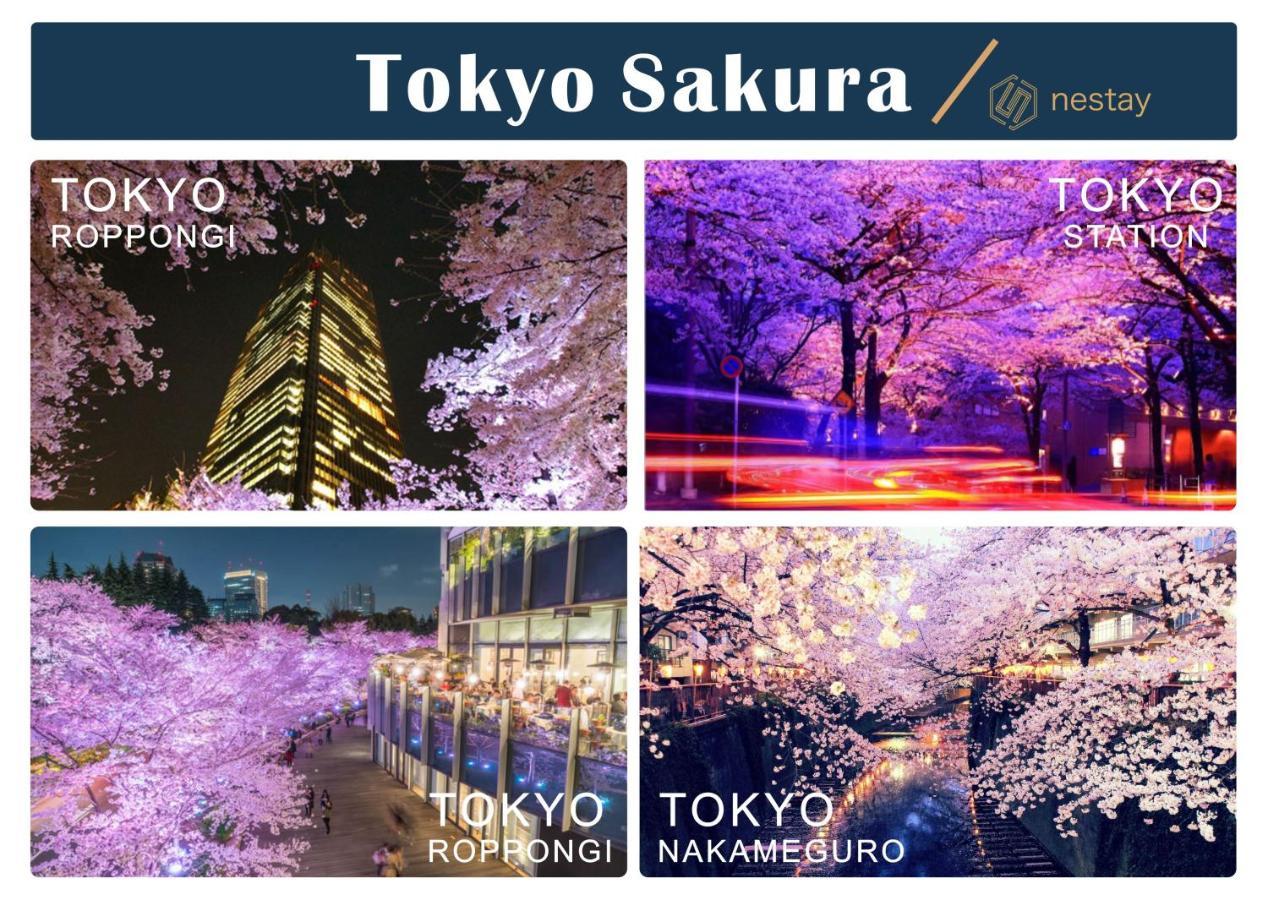 Nestay Inn Tokyo Otsuka 103 Bagian luar foto